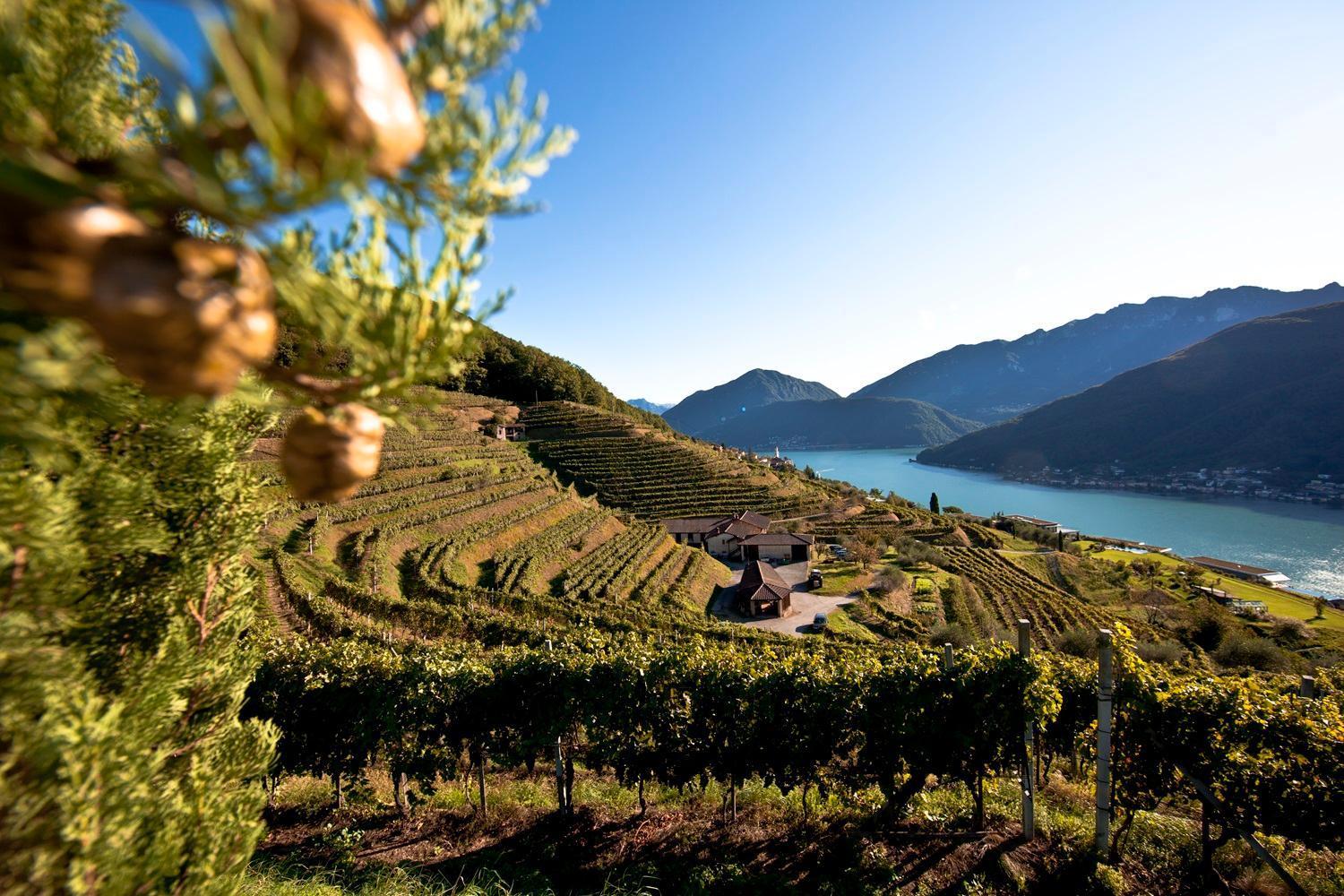 Relais Castello Di Morcote Ξενοδοχείο Εξωτερικό φωτογραφία